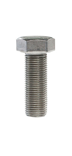 9. Caliper Mount Bolt Front 