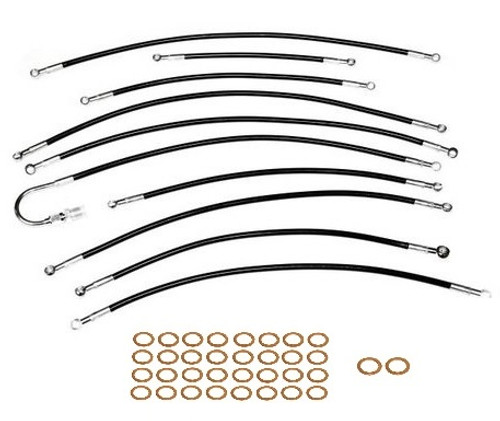 1. 极速赛车正规官官方记录网站 Stainless Fuel Injection Hose Small Line Set